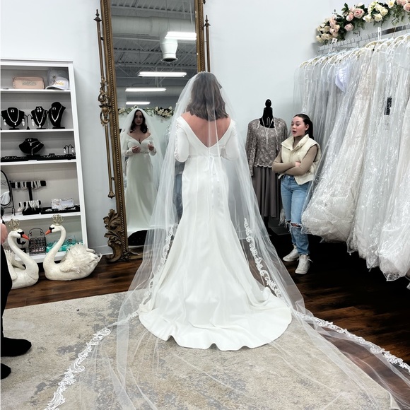 Brand New Never Worn Wedding Dress - Picture 3 of 3